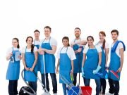 Professional-Cleaning-services