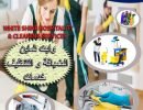 Carpet-and-sofa-cleaning