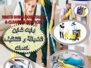 Carpet-and-sofa-cleaning