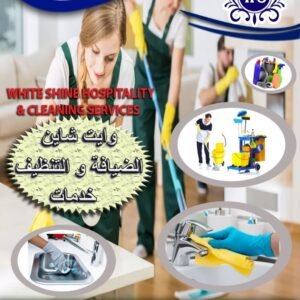 Carpet-and-sofa-cleaning