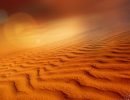 The-Virtual-Exhibition-The-Colors-of-Desert-2020