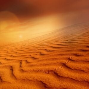 The-Virtual-Exhibition-The-Colors-of-Desert-2020