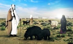 Halal Qatar Festival
