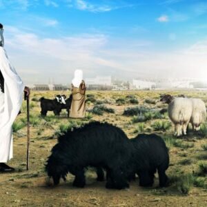 Halal Qatar Festival