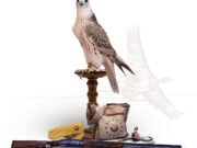 Katara International Hunting and Falcons Exhibition