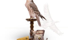 Katara International Hunting and Falcons Exhibition